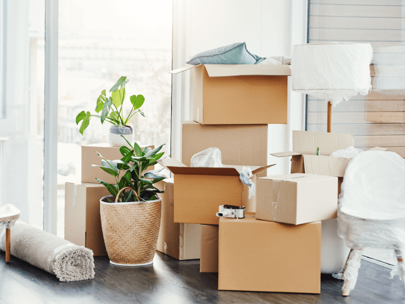 Junk removal service by BMPRO